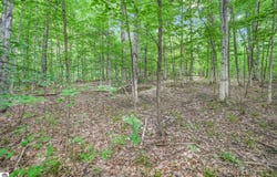 V/L S Coleman Road, Maple City, MI 49664