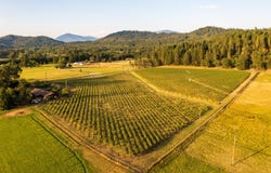 175 Quail Lane, Grants Pass, OR 97526