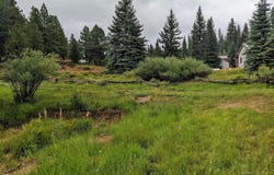 175 N Apollo Trail, Duck Creek, UT 84762