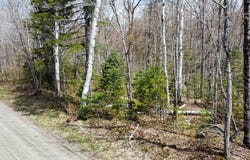 2029 Fox Hollow Road, Carrabassett Valley, ME 04947