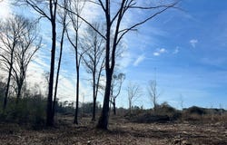 - Pettey Road, Forest, MS 39074