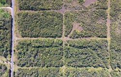 GLENWOOD RD, Volcano, HI 96785