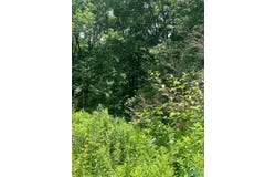 8.1ac County Road 1198, Cullman, AL 35057