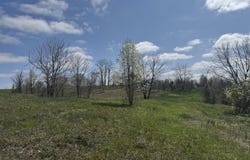 0 Sharon Rd, Ghent, KY 41045