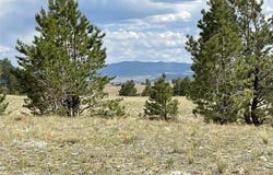 11809 CLEAR CREEK ROAD, Hartsel, CO 80449