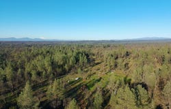 Buffalo Drive, Anderson, CA 96007