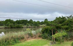 LOT 517 BEACH PLUM DRIVE, MILFORD, DE 19963