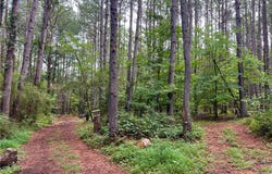 N OLD PENDLETON Road, Easley, SC 29642