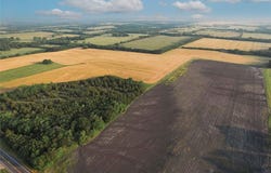 Tdb Fm-137, Roxton, TX 75477