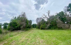 Lot 1 CR 137, Caldwell, TX 77836