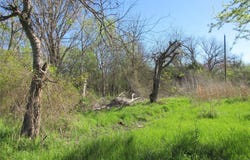 Westcott, Marlin, TX 76661
