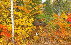 14859 N Whitefish Point RD, Paradise, MI 49768