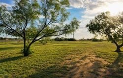 3100 FM 1929, Voss, TX 76888