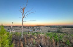 01 County Road 10, Winfield, AL 35594