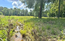 124 Acres County Road 170, Moulton, AL 35650
