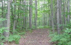 0 ATHEY, Harrison, MI 48625
