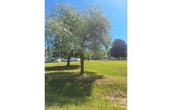 342 E Madison, Harrisville, MI 48740
