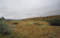 205 Castro Canyon Road, Cuyama, CA 93252
