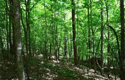 Hilltop View Lane, Germanton, NC 27019