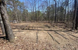 12700 PLANT ROAD, ALPINE, AL 35014