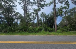 1239 AMHERST TERRACE, INVERNESS, FL 34452