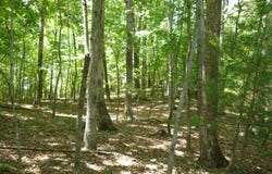 0 Givens Tyler RD, Salem, VA 24153