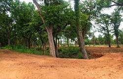 0003 Chako's Way, Guthrie, OK 73044
