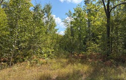 ON FREBURGS RD, Saxon, WI 54559