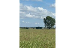 Tract 1 County Road 3430, Honey Grove, TX 75446