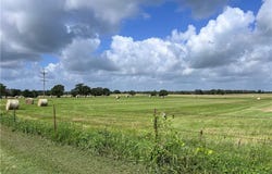 16659 Highway 90, Bedias, TX 77831