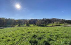 0 HIGHWAY 174, SPRINGVILLE, AL 35146
