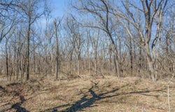124.56 Acres Garner Road, Richmond, MO 64085