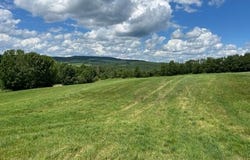 L10 Charcoal Road, Roxbury, NY 12474