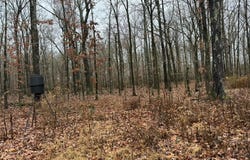35 Woodruff 371, McCrory, AR 72101