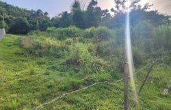 Urb. Toita Hills, Cayey, 00736