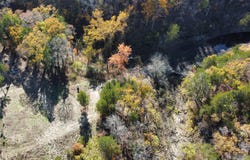 25960 Willow Road, Hermitage, MO 65668