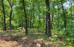Lee Drive, Edwards, MO 65326