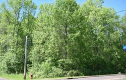 10XX W Bigelow St, Washburn, WI 54891