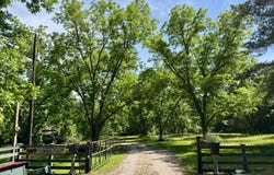 00 Berry Rd, Valley Grande, AL 36701