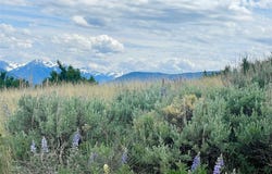 Tract 9C Gateway Drive, Livingston, MT 59047