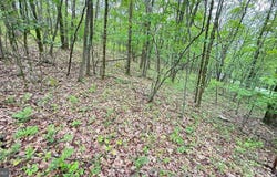 182 SALEM MOUNTAIN RD, CARBONDALE, PA 18407
