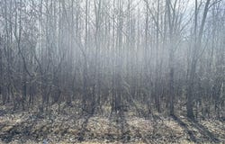 0 Keeling Road, Stanton, TN 38069