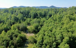 268 Highway 2001, Irvine, KY 40336