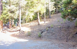 330 Castle Gate Road, Lake Arrowhead, CA 92352