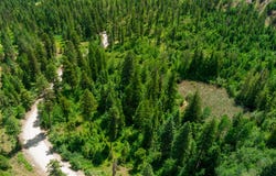 3124 ORIENT CUTOFF RD, ORIENT, WA 99160