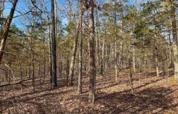181 Old Springfield Road, Quitman, AR 72131