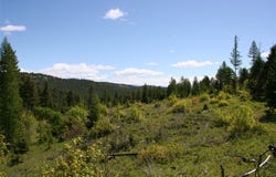 1450 Kienas Road, Kalispell, MT 59901