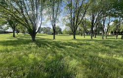 0 Jack Smith Road, Rockfield, KY 42274