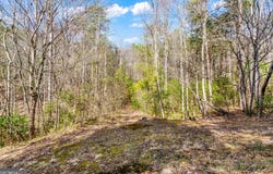 Lot 9 East Ridge Lane, Ellijay, GA 30536