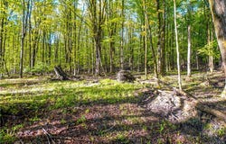 9598 Sisson Highway, Eden, NY 14057